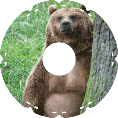 2012 Braunbär