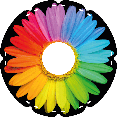 2071 Regenbogenblume