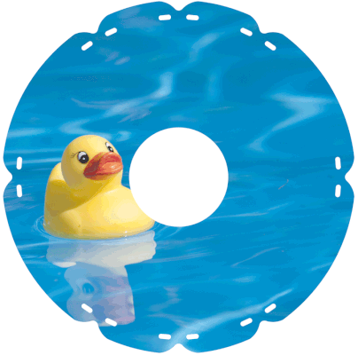 0722 Schwimmente