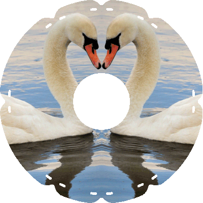 0593 Tierliebe