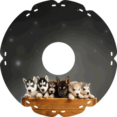 1868 Husky Welpen