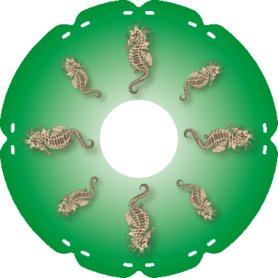 1787 Seepferdchen grün