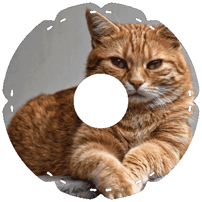 1113 Kater