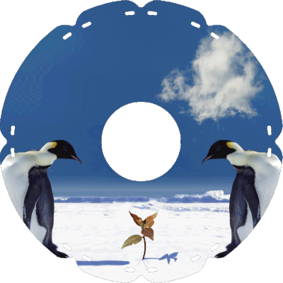 0424 Pinguine mit Pflanze