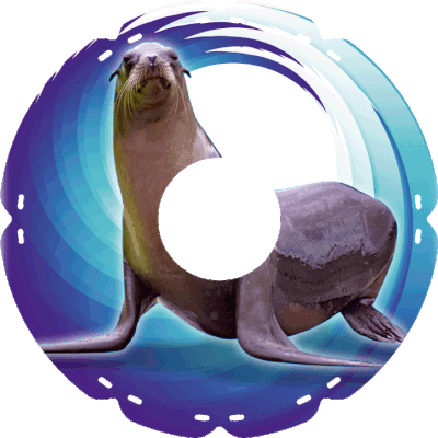 2091 Seelöwe
