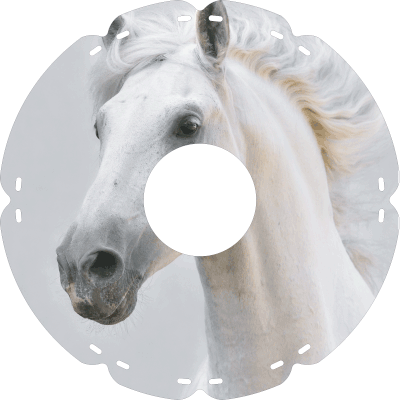 0327 Schimmel