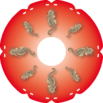 1788 Seepferdchen rot