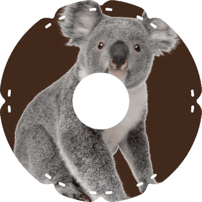 0423 Koala Jenny