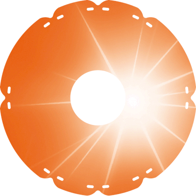0318 Sonnenstrahlen