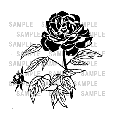 サルビア シュウメキク シャクヤク スイセンのイラスト 東京都渋谷区にある石材彫刻 墓石工事の専門業者です