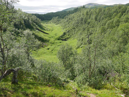 Der unmarkierte Teil der Wanderung durchs Trockental