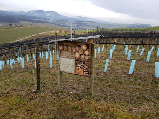 Wildbienenhotel