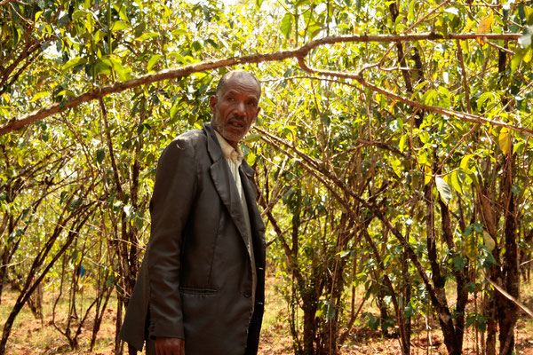 Farmer der Shilcho Kooperative / Vater