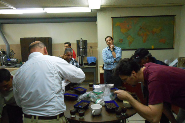 Cupping bei CAMEC