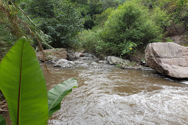 Der Fluss