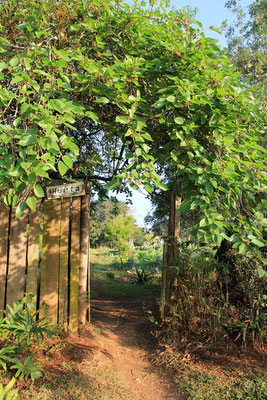 Eingang zum FAF Gemüsegarten (selbstverständlich auch alles organic)