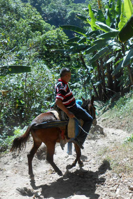 "Cowboy" Victoriano 