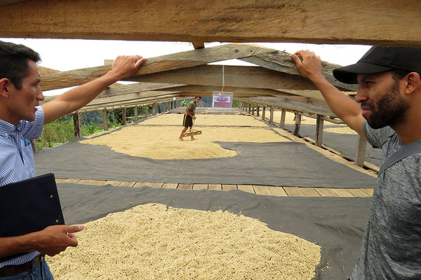 Teófilos Trocknungsmodul 20m x 50m