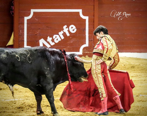 Fotografía: María Rosa