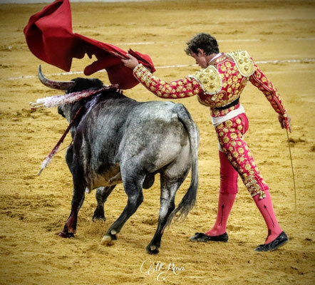Fotografía: María Rosa