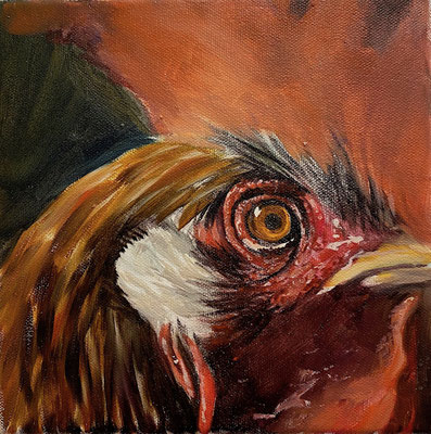 Der herrische Leopold (Detail) 2023 | Öl auf Leinwand | 20x20