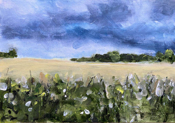 Landschaft auf meinem täglichen Weg ins Atelier.