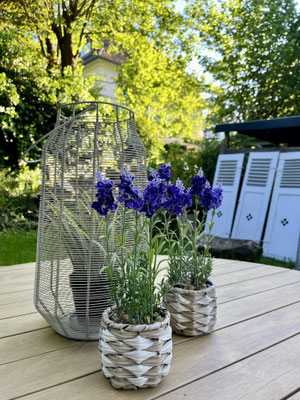 Tisch-Dekoration - Sommersitz im Garten der Villa Becher - eine runde Sitzgruppe für bis zu 10 Personen