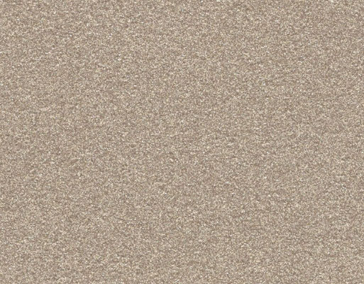 Beige gris aspect finement sablé et givré Quartz 2