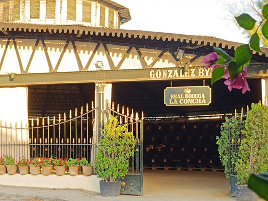 Welke Sherry wijnhuizen bezoeken