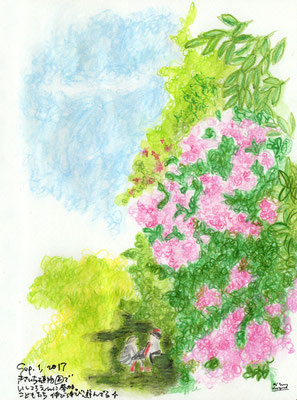 Kisaichi Botanical garden