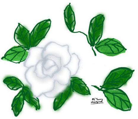 【クチナシ】 -gardenia