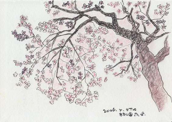 【奈良公園】Nara Park -Japan (2006.4.4 TUE)