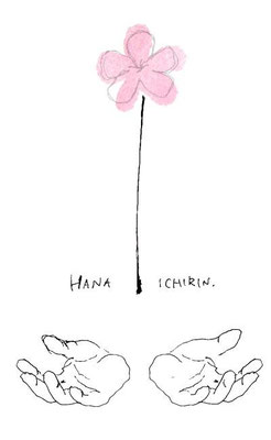【花一輪】 -one flower (2013.3.11)
