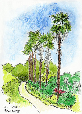 Kisaichi Botanical garden