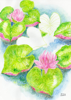 @botanical-garden nagai