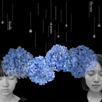 hydrangea