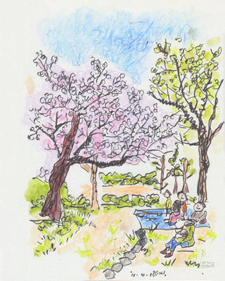 park (2011.4.10 SUN)