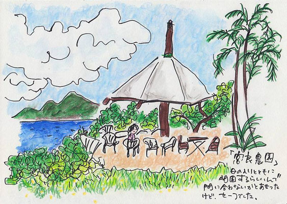 【 宮良農園 - 石垣島 】Miyara farm (07.7)