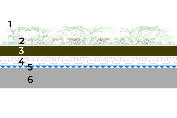 Beispielhafter Aufbau eines intensiv begrünten Daches (von oben nach unten). 1. intensive Vegetation | 2. Substratschicht | 3. Filtervlies | 4. Retentionsraum | 5. wurzelfeste Abdichtung Triflex ProTect | 6. Tragkonstruktion | Foto © Triflex