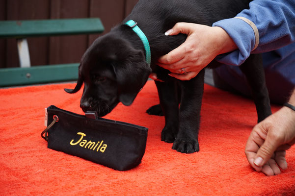 Jamila