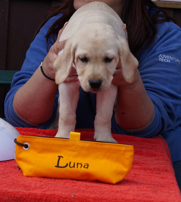 Luna