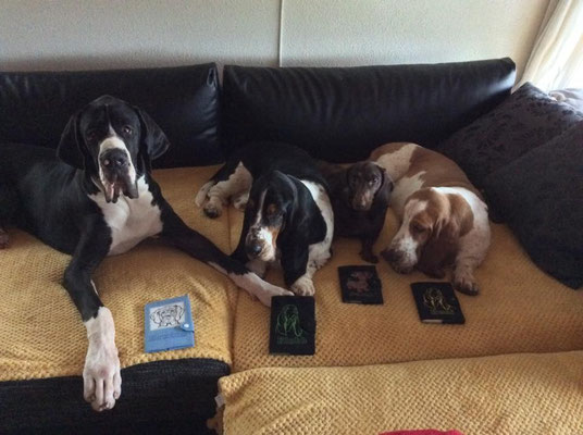 Brutus, Blubb, Baron, Beni