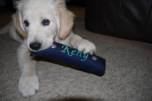 Keny