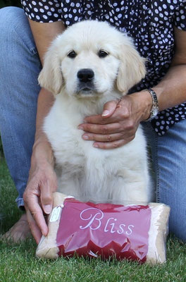Bliss