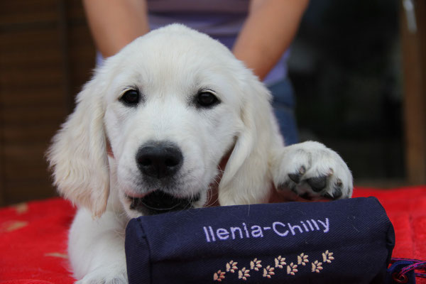 Ilenia- Chilly