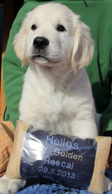 Helios