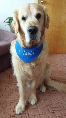 Jaylo