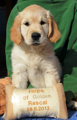 Hope