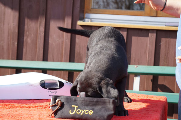 Joyce