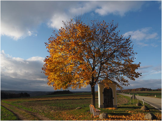 Aufegger Peter, Eggenburg, Rang 45 - Bild 1, 27 Punkte ( 10 9 8)